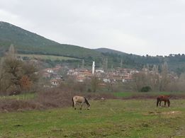 Balya Havutbaşı Köyü Resimleri 9