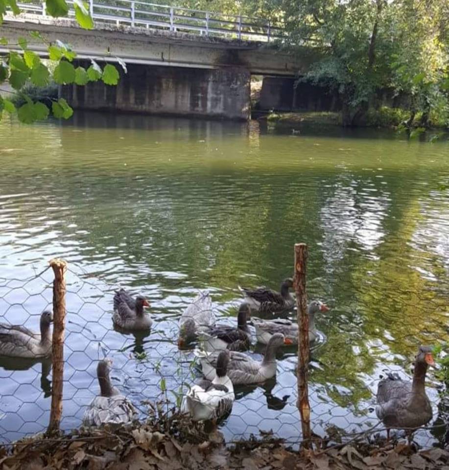 Balya Kadıköy Köyü Resimleri 3