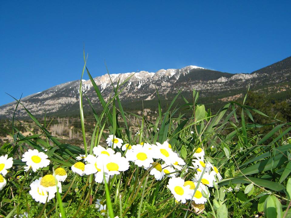 Antalya Kaş Ortabağ Köyü Resimleri 11