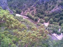 Balya Kavakalanı Köyü Resimleri 5