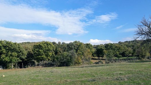 Balya Kayapınar Köyü Resimleri 2