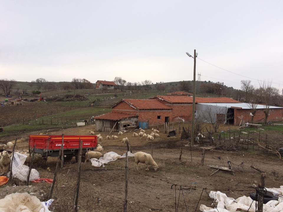 Balya Narlı Köyü Resimleri 3