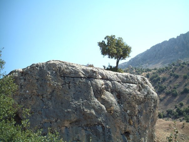 Adıyaman Ağaçkonak Köyü Resimleri 4