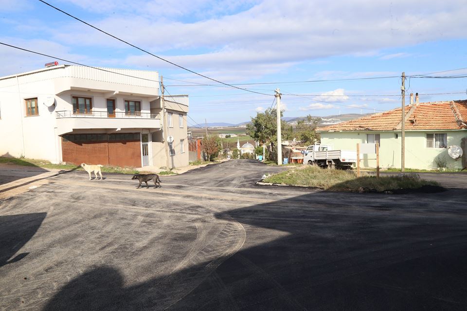 Bandırma Doğanpınar Köyü Resimleri 2