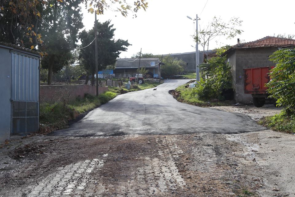 Bandırma Doğanpınar Köyü Resimleri 5