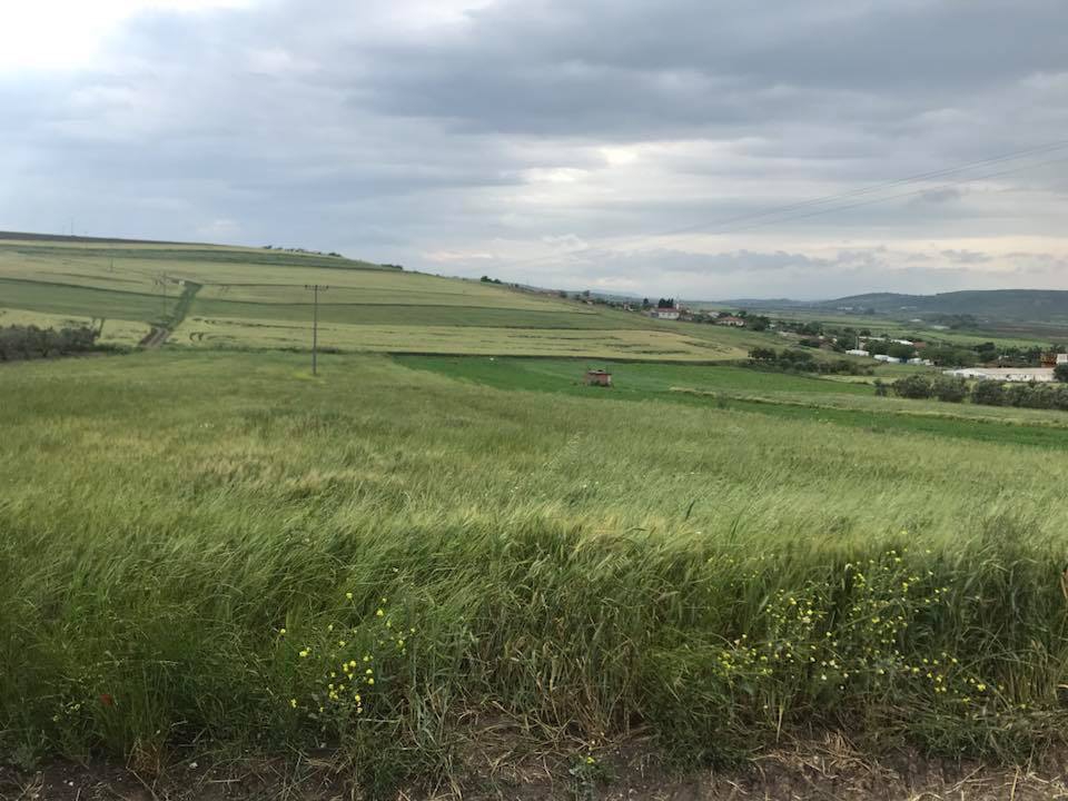 Bandırma Ergili Köyü Resimleri 7