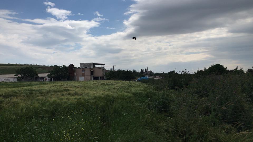 Bandırma Ergili Köyü Resimleri 9