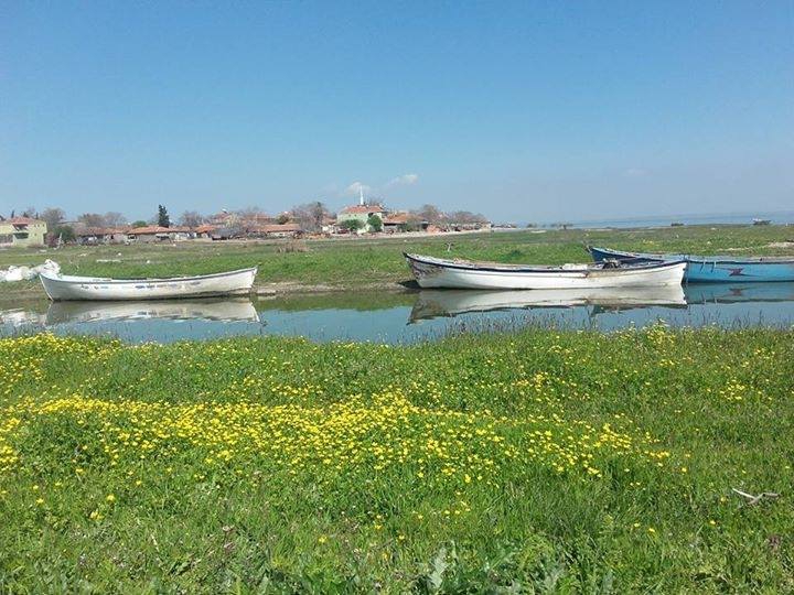 Bandırma Gölyaka Köyü Resimleri 7