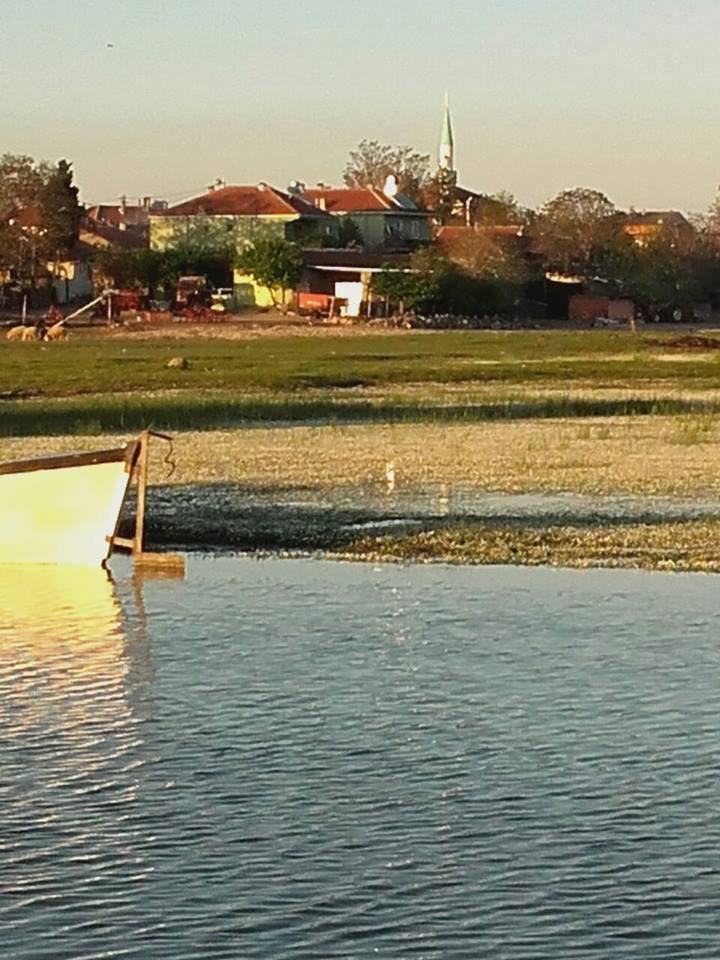 Bandırma Gölyaka Köyü Resimleri 9
