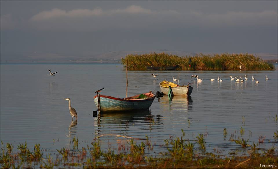 Bandırma Kuşcenneti Köyü Resimleri 1