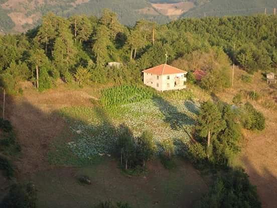 Bigadiç Alanköy Köyü Resimleri 5