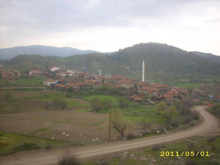 Bigadiç Altınlar Köyü Resimleri 2