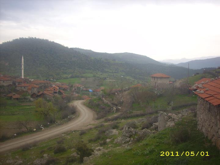 Bigadiç Altınlar Köyü Resimleri 3