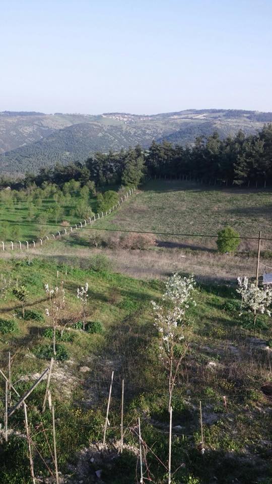 Bigadiç Bozbük Köyü Resimleri 3