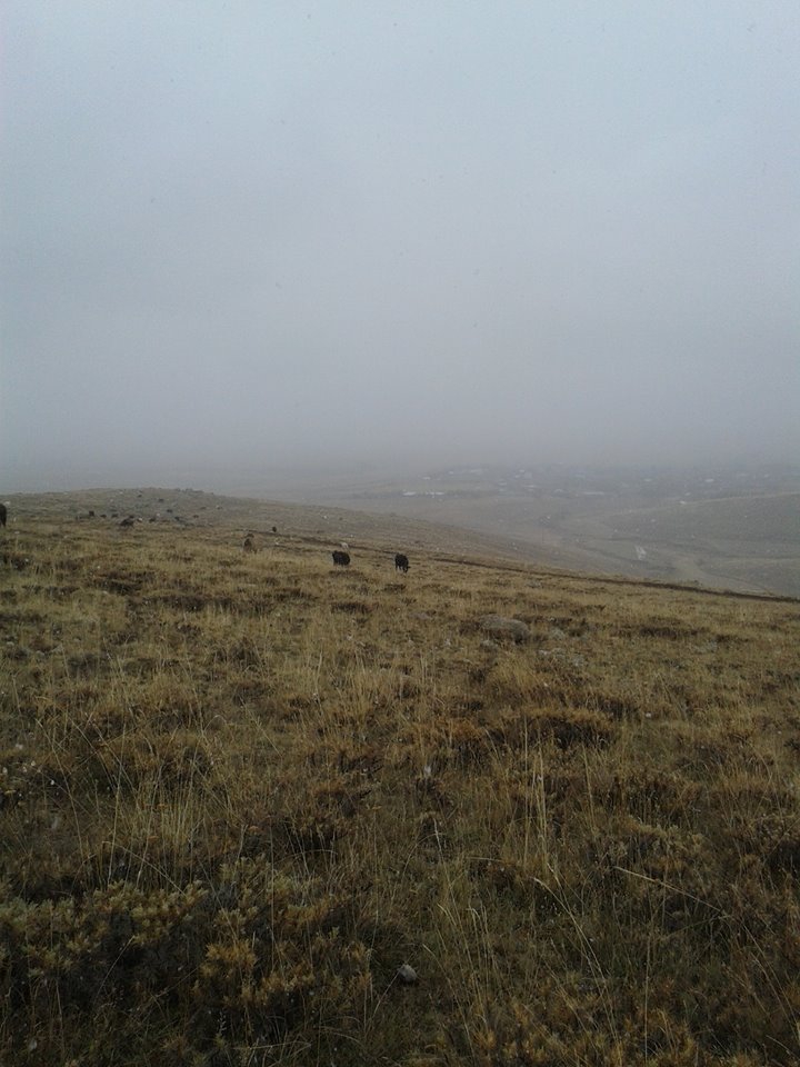 Ağrı Eleşkirt Çetinsu Köyü Resimleri 18