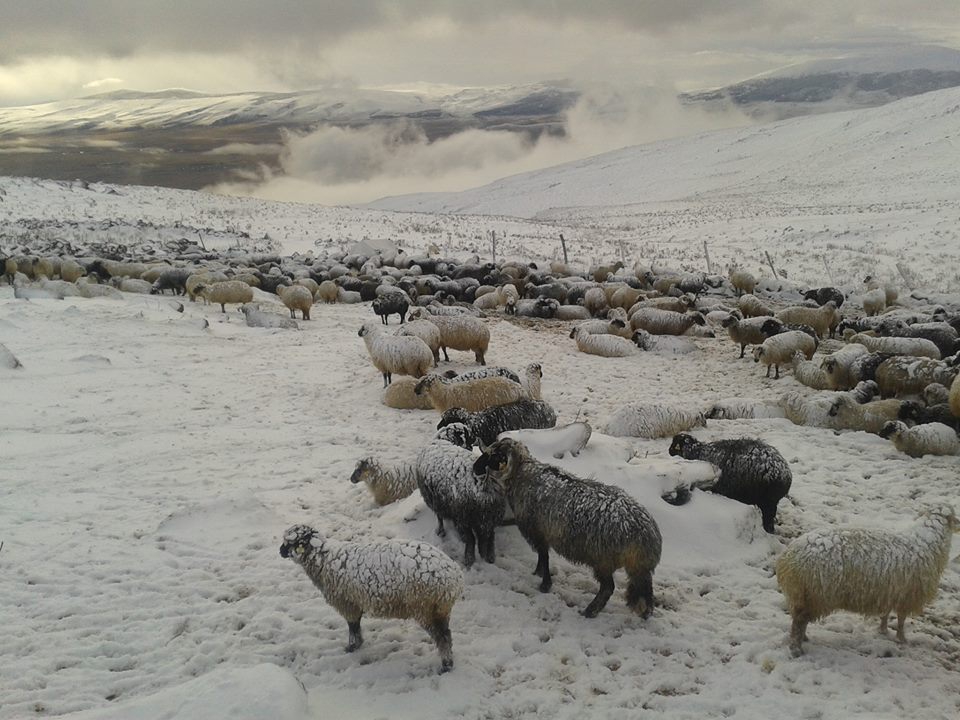 Ağrı Eleşkirt Çetinsu Köyü Resimleri 19