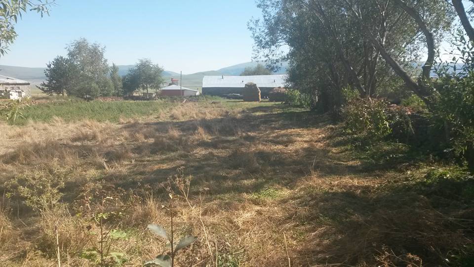Ağrı Eleşkirt Çetinsu Köyü Resimleri 7