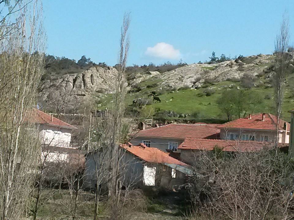 Bigadiç Değirmenli Köyü Resimleri 2