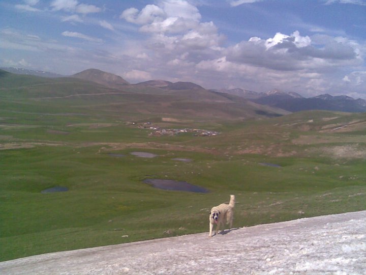 Ağrı Eleşkirt Gökçayır Köyü Resimleri 16
