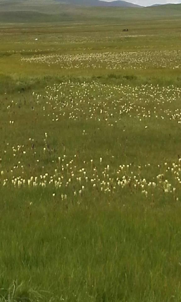 Ağrı Eleşkirt Gökçayır Köyü Resimleri 4