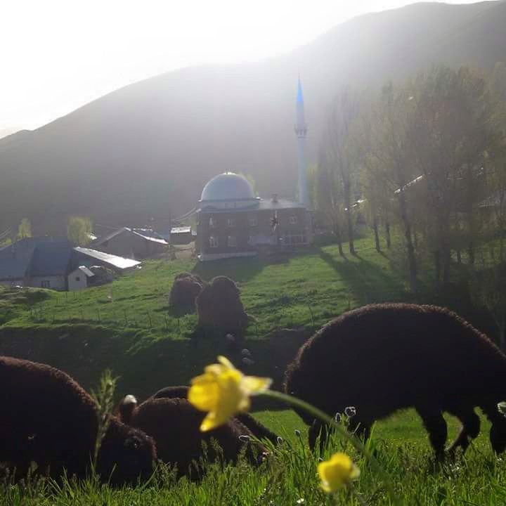 Ağrı Eleşkirt Gözaydın Köyü Resimleri 14
