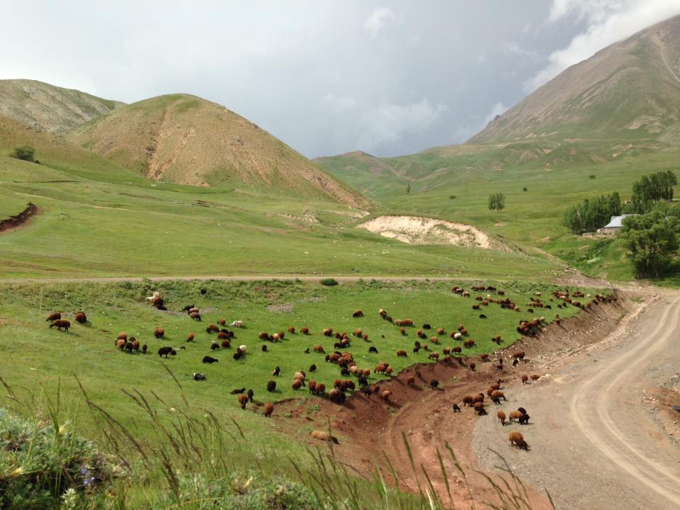 Ağrı Eleşkirt Gözaydın Köyü Resimleri 20