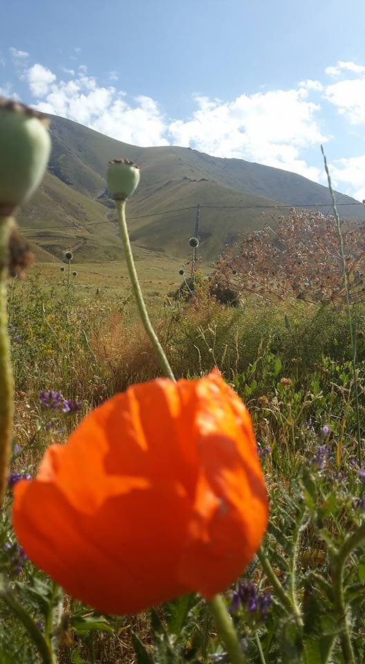 Ağrı Eleşkirt Gözaydın Köyü Resimleri 32