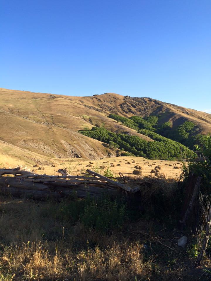 Ağrı Eleşkirt Gözaydın Köyü Resimleri 36