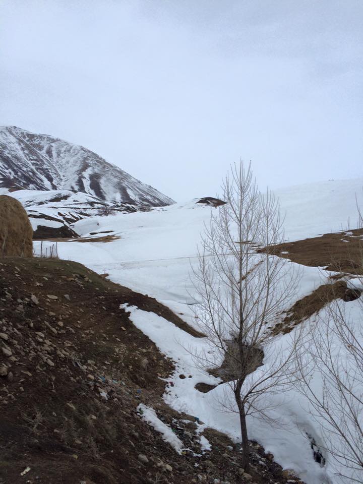 Ağrı Eleşkirt Gözaydın Köyü Resimleri 37