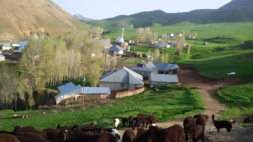 Ağrı Eleşkirt Gözaydın Köyü Resimleri 44