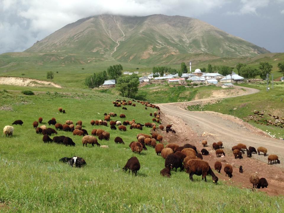 Ağrı Eleşkirt Gözaydın Köyü Resimleri 48