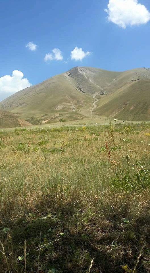 Ağrı Eleşkirt Gözaydın Köyü Resimleri 51