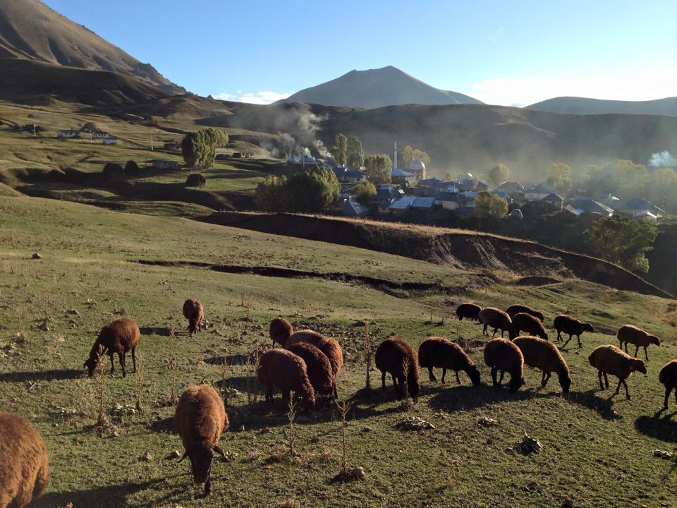Ağrı Eleşkirt Gözaydın Köyü Resimleri 56