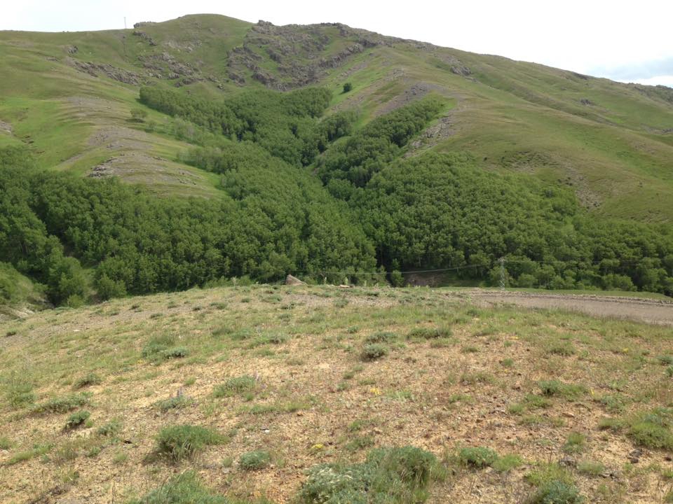 Ağrı Eleşkirt Gözaydın Köyü Resimleri 58