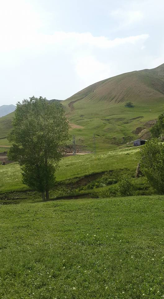 Ağrı Eleşkirt Gözaydın Köyü Resimleri 59