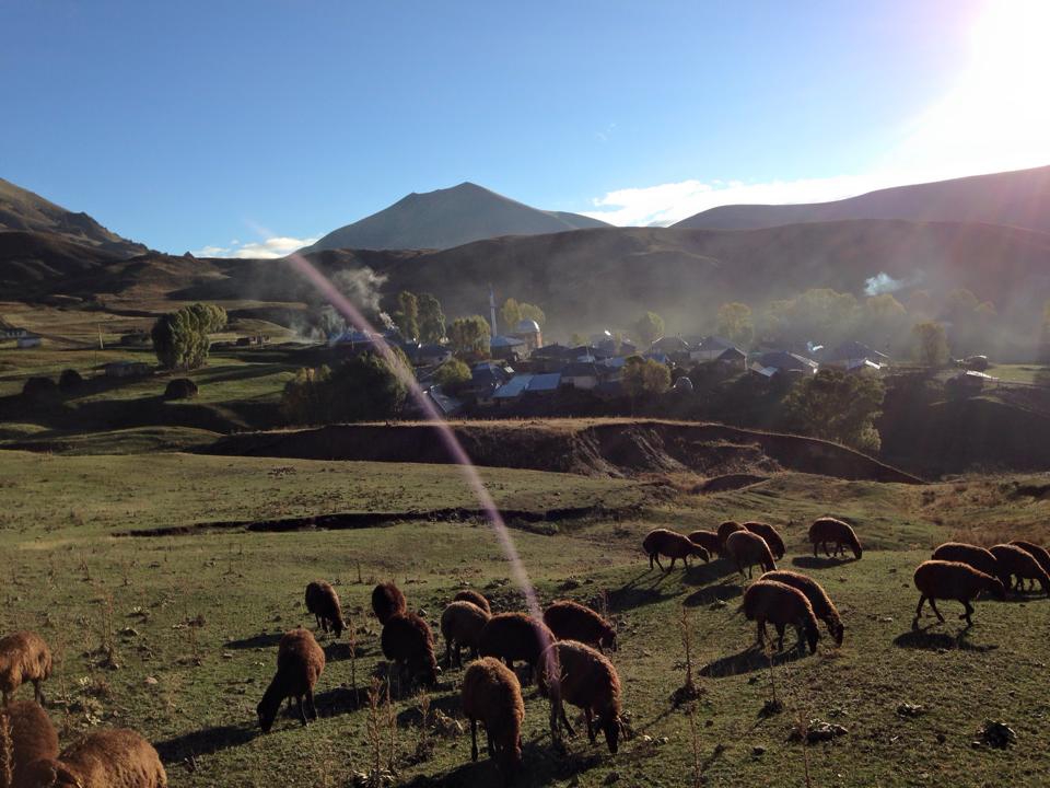 Ağrı Eleşkirt Gözaydın Köyü Resimleri 60