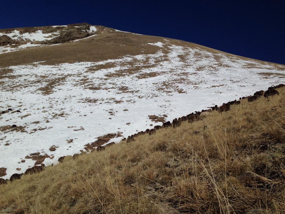 Ağrı Eleşkirt Gözaydın Köyü Resimleri 69