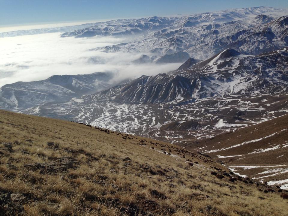 Ağrı Eleşkirt Gözaydın Köyü Resimleri 73
