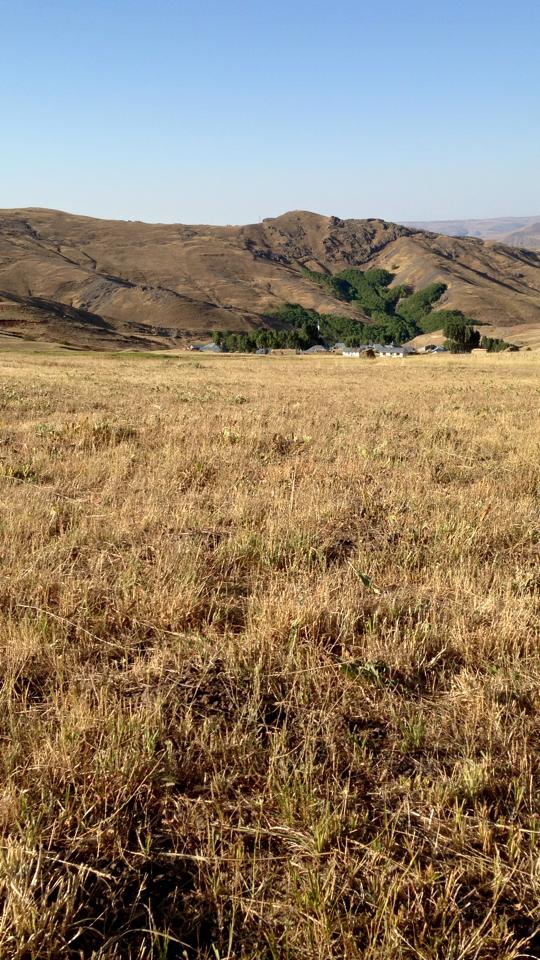 Ağrı Eleşkirt Gözaydın Köyü Resimleri 77