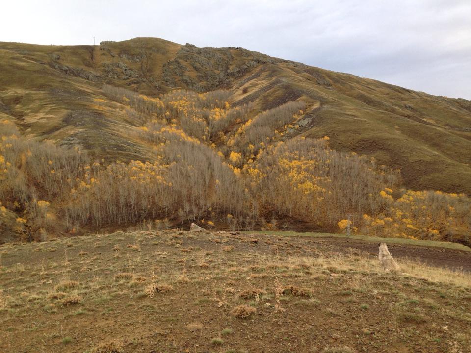 Ağrı Eleşkirt Gözaydın Köyü Resimleri 79