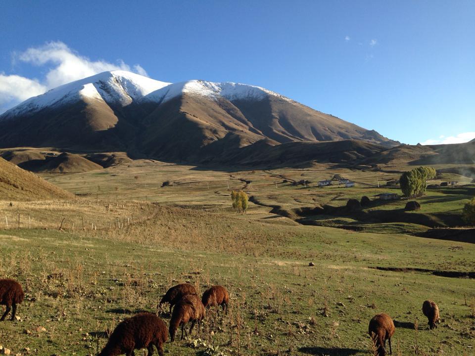 Ağrı Eleşkirt Gözaydın Köyü Resimleri 80