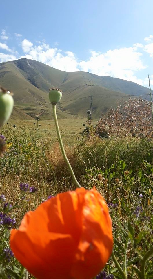 Ağrı Eleşkirt Gözaydın Köyü Resimleri 81