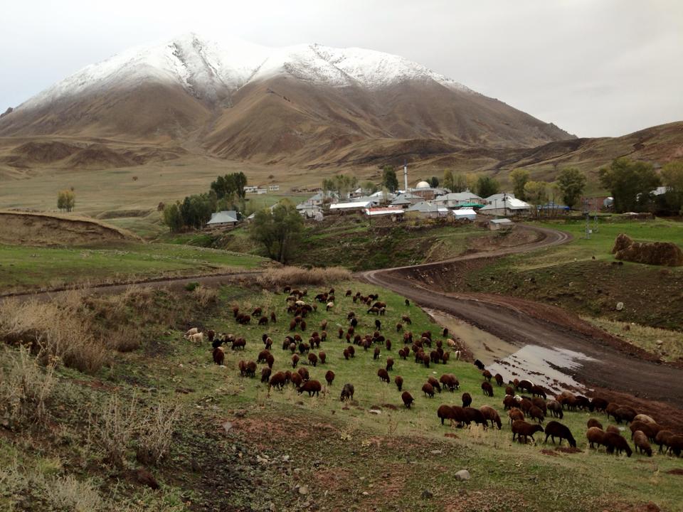 Ağrı Eleşkirt Gözaydın Köyü Resimleri 82