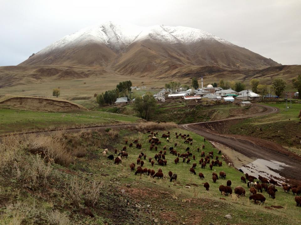 Ağrı Eleşkirt Gözaydın Köyü Resimleri 85
