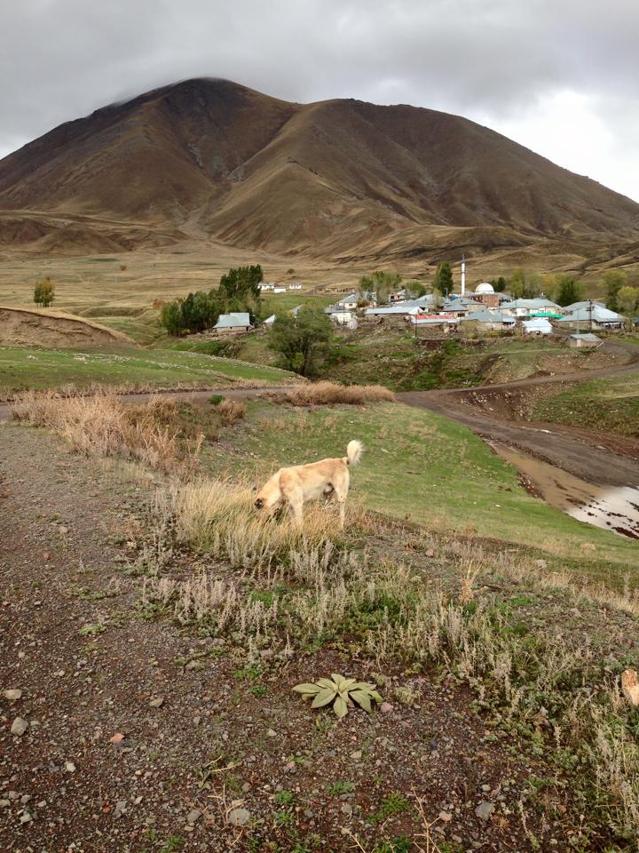 Ağrı Eleşkirt Gözaydın Köyü Resimleri 86