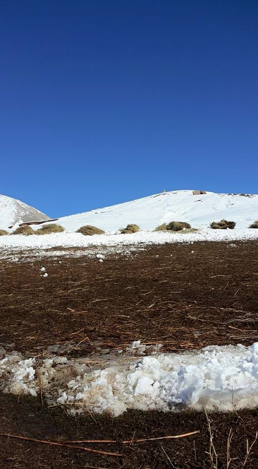 Ağrı Eleşkirt Gözaydın Köyü Resimleri 87
