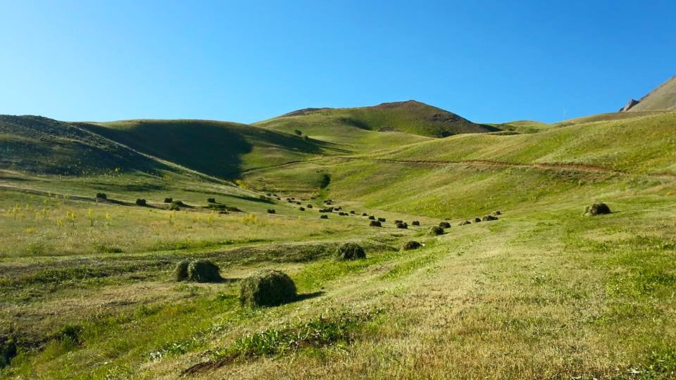 Ağrı Eleşkirt Gözaydın Köyü Resimleri 92