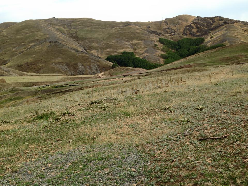 Ağrı Eleşkirt Gözaydın Köyü Resimleri 95