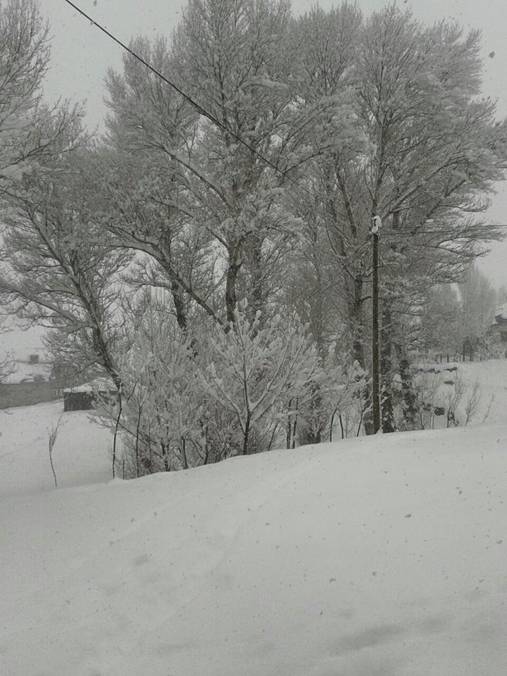 Ağrı Eleşkirt Gözaydın Köyü Resimleri 97