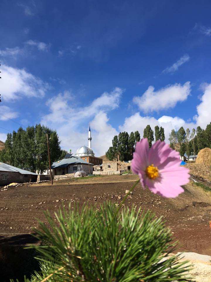 Ağrı Eleşkirt Gözaydın Köyü Resimleri 98
